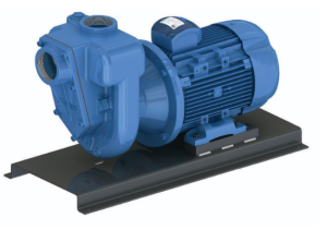 GMP Pumps Cast Iron