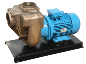 GMP Pumps Marine bronze