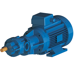 GVR Pompe BFC 300x300 1.png