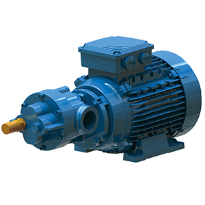 GVR Pompe BMF BFC.png